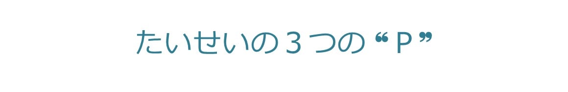 たいせいの３つのP-パフォーマンス-タイトル